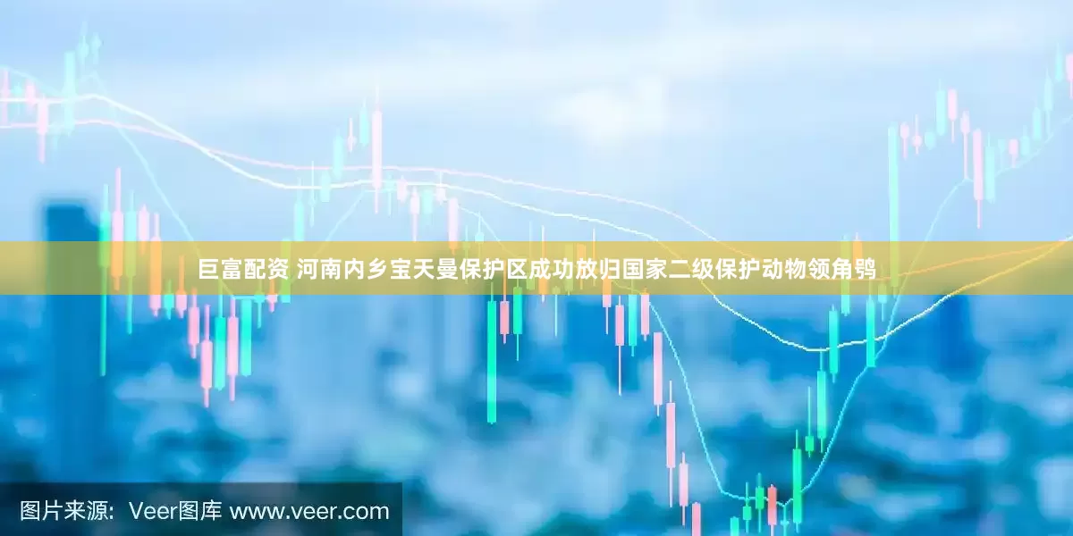 巨富配资 河南内乡宝天曼保护区成功放归国家二级保护动物领角鸮