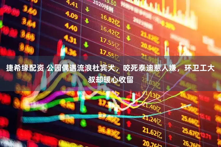 捷希缘配资 公园偶遇流浪杜宾犬，咬死泰迪惹人嫌，环卫工大叔却暖心收留