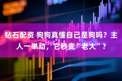 钻石配资 狗狗真懂自己是狗吗？主人一举动，它秒变“老大”？