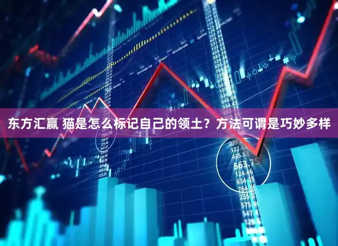 东方汇赢 猫是怎么标记自己的领土？方法可谓是巧妙多样