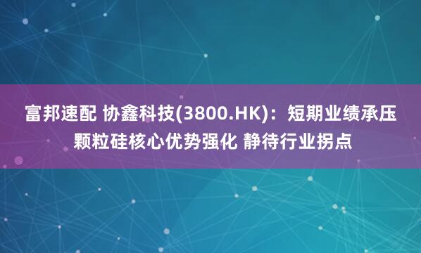 富邦速配 协鑫科技(3800.HK)：短期业绩承压 颗粒硅核心优势强化 静待行业拐点