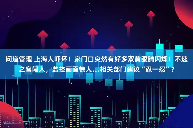 问道管理 上海人吓坏！家门口突然有好多双黄眼睛闪烁！不速之客闯入，监控画面惊人…相关部门建议“忍一忍”？