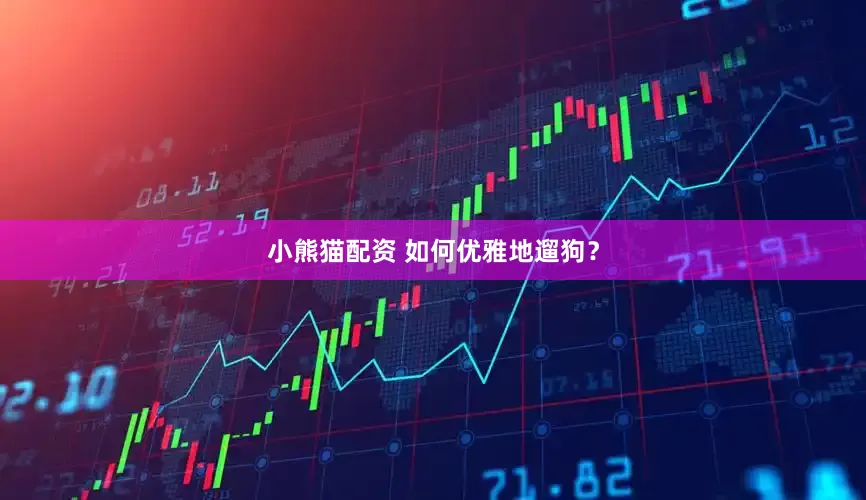 小熊猫配资 如何优雅地遛狗？