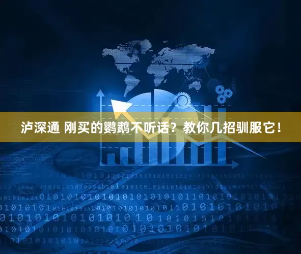 泸深通 刚买的鹦鹉不听话？教你几招驯服它！