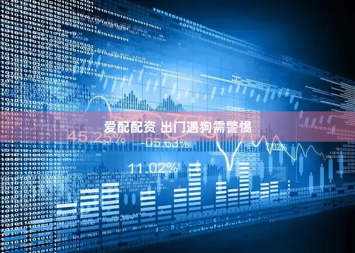 爱配配资 出门遇狗需警惕