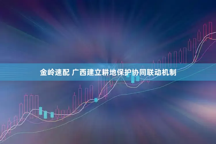 金岭速配 广西建立耕地保护协同联动机制