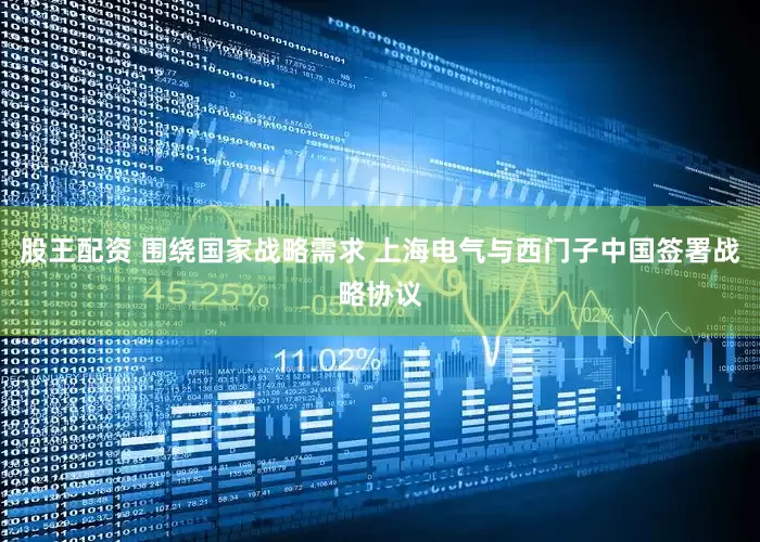 股王配资 围绕国家战略需求 上海电气与西门子中国签署战略协议