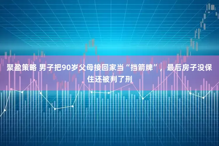 聚盈策略 男子把90岁父母接回家当“挡箭牌”，最后房子没保住还被判了刑